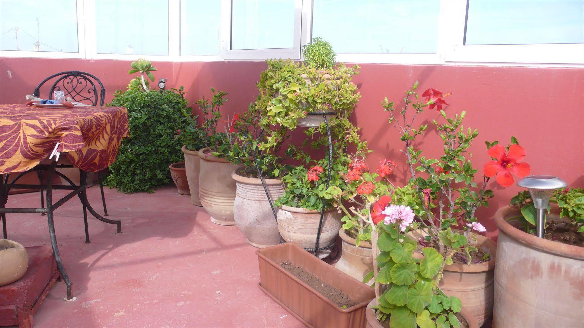 Bed and Breakfast Dar Latigeo Essaouira Exterior foto